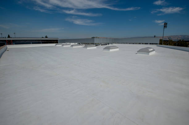 Best Rubber Roofing (EPDM, TPO)  in Ypsilanti, MI