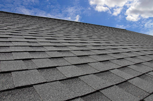 Best Storm Damage Roof Repair  in Ypsilanti, MI